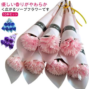 \[vt[ Cxg v[g ̓ \[vt[ ot[ o 10{ J[l[V 蕨 w 1 EGfBO Mtg ԑ Ӊ a j LO \ e 