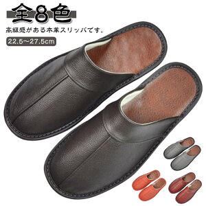 v T_ Y U[ fB[X T_ ׂȂ  jZbNX {v  I[V[Y  Ɩp Vv 㗚  n {v Ȃ [