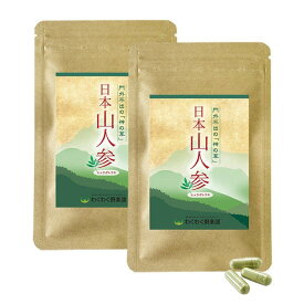 日本山人参 ヒュウガトウキ サプリ　45カプセル×2袋 高千穂 サプリメント 国産