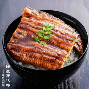 Ȃ̊Ă YȂ̊Ă  i270gj1 Mtg F{Y V N̓ З{B Mtg Ⓚ 