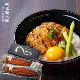 国産うなぎの蒲焼き 大サイズ2尾セット 3〜4人前 （総重量340g）くまもと産 鰻 ギフト 自社養殖 贈り物 冷凍 化粧箱入