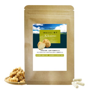 �L�N�C�� �T�v�� 15���� 1�� ���Y ����� ��������