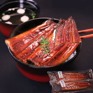 Ȃ̊Ă 2Zbgid300gj Y F{Y З{B N̓ З{B  Mtg Ⓚ  j 