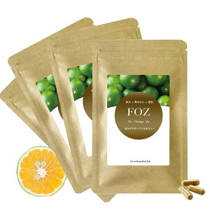 S⋋ tF` Tv FOZ 30JvZ× 4܁i݂+iCg+jS⋋ Tvg wXyW  S ܂Ƃߔ 