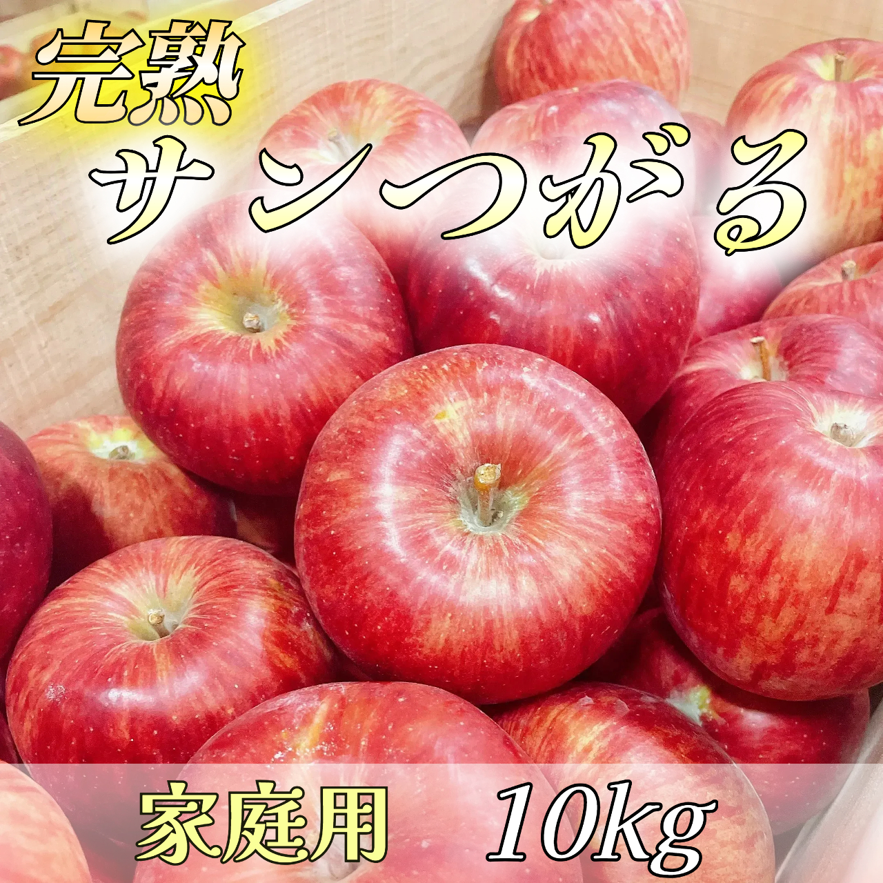  りんご 信州産 長野県産 サンつがる 5kg 10玉 林檎