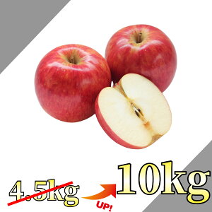 yʁz O XY  KiOi Tӂ ӂ  T KiO \񏤕i ӂ 󂠂 ƒp W[X SW[X 1.5kg 2kg 3kg 5kg 10kg 2L 3L 5L 10