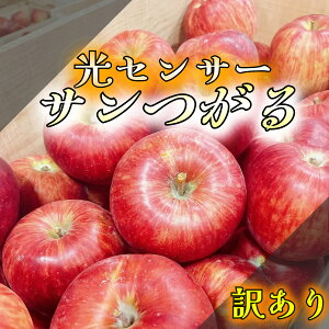 yV D X F _ZT[Iʁ^ 3kg 5kg 10kg TcK T  ӂ T ӂ Ìy  󂠂  X XY ƒp S X ь ʕ Tӂ 