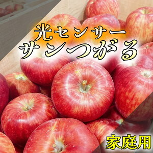 9 _ZT[Iʁ^ 3kg 5kg 10kg T  cK VimS[h gL ӂ  ƒp  T X tW XY 󂠂 S X ь ʕ SW[X
