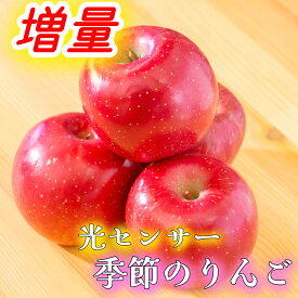 ★絶対チェック! 3つのイベント開催中★ 楽天 優良 店舗 認定 【増量】 グルメ大賞 青森県産 りんご 規格外品 サンふじ ふじ 送料無料 サンつがる 規格外 予約商品 早生ふじ 訳あり 家庭用 ジュース リンゴジュース 1.5kg 2kg 3kg 5kg 10kg 2キロ 3キロ 5キロ 10キロ