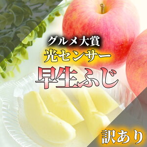 yV D X F _ZT[Iʁ^ 3kg 5kg 10kg  ӂ OOӂ T ӂ Ìy  󂠂  X XY ƒp S X ь ʕ Tӂ SW[X 3L