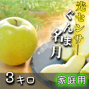 y12/4 20:00~@1000~ItN[|zzz _ZT[Iʁ^ 3kg 5kg 10kg ܖ   VimS[h gL   ӂ  ƒp  T X tW XY 󂠂 