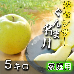 y12/4 20:00~@1000~ItN[|zzz _ZT[Iʁ^ 3kg 5kg 10kg ܖ   VimS[h gL   ӂ  ƒp  T X tW XY 󂠂 