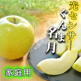 ★絶対チェック! 3つのイベント開催中★ ＼光センサー選果／ 3kg 5kg 10kg ぐんま名月 ぐんま 名月 シナノゴールド トキ 黄王 王林 ふじ 送料無料 家庭用 りんご サン 青森 フジ 青森県産 訳あり リンゴ 青森県 林檎 果物 リンゴジュース 3キロ 5キロ 10キロ 自宅用