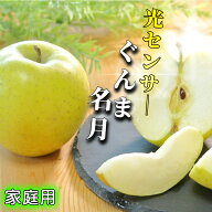 【9月はポイント最大10倍】 優良店舗 認定 光センサーりんご 3kg 5kg 10kg 王林 / ぐんま名月 ぐんま 名…