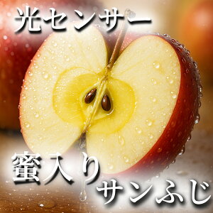 yZT[@z 3kg T ӂ   󂠂  X XY ƒp S X ь ʕ Tӂ SW[X 3L 5L 10L 