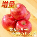 楽天 優良 店舗 認定 【増量】 グルメ大賞 青森県産 りんご 規格外品 サンふじ ふじ 送料無料 サンつがる 規格外 予約…