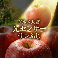優良店舗 認定　割引クーポン＋ポイント最大10倍 光センサーりんご 3kg 5kg 10kg 蜜 サンふじ ぐんま名月…