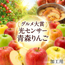 優良店舗 認定　割引クーポン＋ポイント最大10倍 光センサーりんご 青森 りんご 10kg 加工用 送料無料 ジュース ジャム サンフジ ふじ 10キロ 王林 名月 ぐんま名月 紅玉 津軽 つがる 黄王 ジョナ トキ 訳あり 青森県産 5kg 5キロ 家庭用
