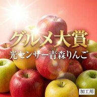 優良店舗 認定　割引クーポン＋ポイント最大10倍 光センサーりんご 青森 りんご 10kg 加工用 送料無料 ジ…