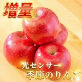 【安心のクール便】 優良店舗 認定 光センサーりんご 楽天優良 認定店 【増量】 グルメ大賞 青森県産 りんご 規格外品 サンふじ ふじ 送料無料 サンつがる 規格外 訳あり 家庭用 ジュース リンゴジュース 1.5kg 2kg 3kg 5kg 10kg 2キロ 3キロ 5キロ 10キロ