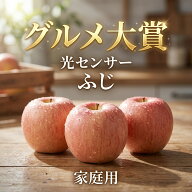 優良店舗 認定 光センサーりんご 3kg 5kg 10kg 蜜 有袋 ふじ ぐんま名月 ぐんま 名月 シナノゴールド ト…