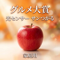 【9月はポイント最大10倍】優良店舗 認定 光センサーりんご 3kg 5kg 10kg 蜜 サン つがる ぐんま名月 ぐ…