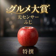 【優良店舗 認定】 光センサーりんご 3kg 5kg 10kg 青森 特選 早生ふじ / 弘前ふじ 贈答 送料無料 りんご…