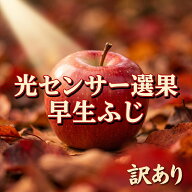 【優良店舗 認定】 光センサーりんご 3kg 5kg 10kg 早生ふじ 弘前ふじ 蜜 送料無料 訳あり りんご 青森 …