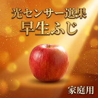 【優良店舗 認定】 光センサーりんご 3kg 5kg 10kg 蜜 早生ふじ 弘前ふじ ぐんま名月 ぐんま 名月 シナノ…