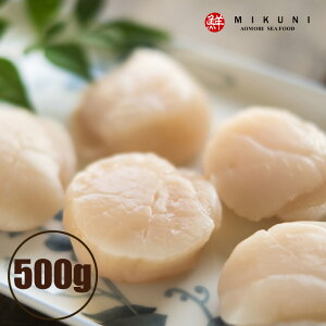 XނpY ⓀقĂ̊L (HpF500g 27ʑO)