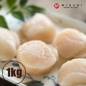XނpY ⓀقĂ̊L (HpF1kg 55ʑO)