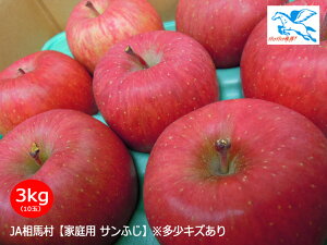 JAnyƒpTӂz3kgi10-11ʁjLYEs