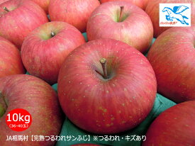JA相馬村【完熟つるわれりんご・サンふじ】10kg（36-40玉）※多少キズあり・訳あり・同梱不可