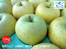 JA相馬村【贈答用 王林（おうりん）】10kg（36-40玉）＜同梱不可・取寄品＞