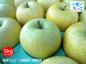 JA相馬村【贈答用 王林（おうりん）】5kg（18-20玉）＜同梱不可・取寄品＞
