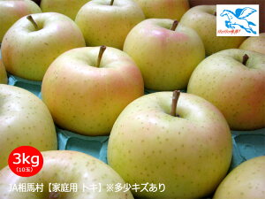 JAnyƒpgLz3kgi10-11ʁjLY聃s