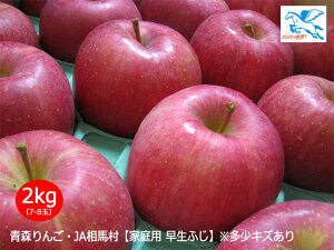 \̔E10/7甭X^[gJAnyƒpEӂz2kgi7-8ʁjLYEE
