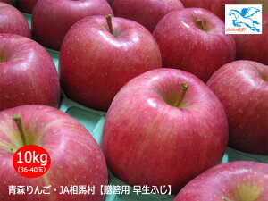 \̔E10/7甭X^[gJAnypEӂz10kgi36-40ʁjs