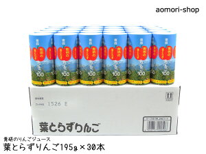 ytƂ炸100z195g×30{聦Xg[t