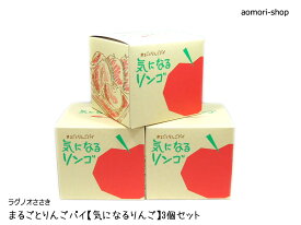 ラグノオささき【気になるりんご】3個セット（包装済み・ギフト）　※同梱不可