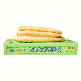 青森県産　長芋　5Kg（ 3L〜4Lサイズ /4〜5本入り）（おがくず詰め）　【（有）柏崎青果】