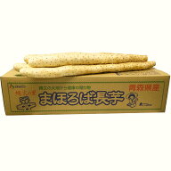 青森県産　長芋　 10Kg(3L〜4L　6 〜 10本 ）（おがくず詰め)【（有）柏崎青果】