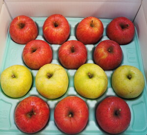 X암Y@ƒp@킯@ 5Kg@1il@iӂ80`90@і͂ܖ20`10%~bNXjm\̔JnF1120ȍ~nyijʉz