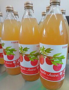 X암Y@ʉ̂ W[X@(1,000ml 3{@)yijʉz