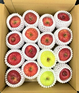 X암Y@(ʁj 5Kg 1iliӂ80`90@і͂ܖ20`10%~bNXjm\̔JnF1120ȍ~nyijʉz