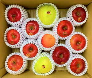 X암Y@ō(ʁj@ 5kg 1iliӂ80`90@orܖ20`10%~bNXj@m\̔F1120ȍ~nyijʉz