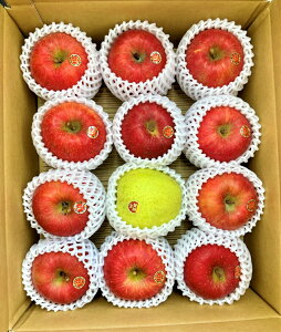 X암Y@I(ʁj@ 10Kg 2iliӂ80`90@і͂ܖ20`10%~bNXjm\̔JnF1120ȍ~Jnnyijʉz