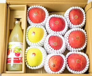 X암Y@񂲁@@W[XZbg@i3kg{W[X1{(1Ljjm\̔JnF11{Jnnyijʉz