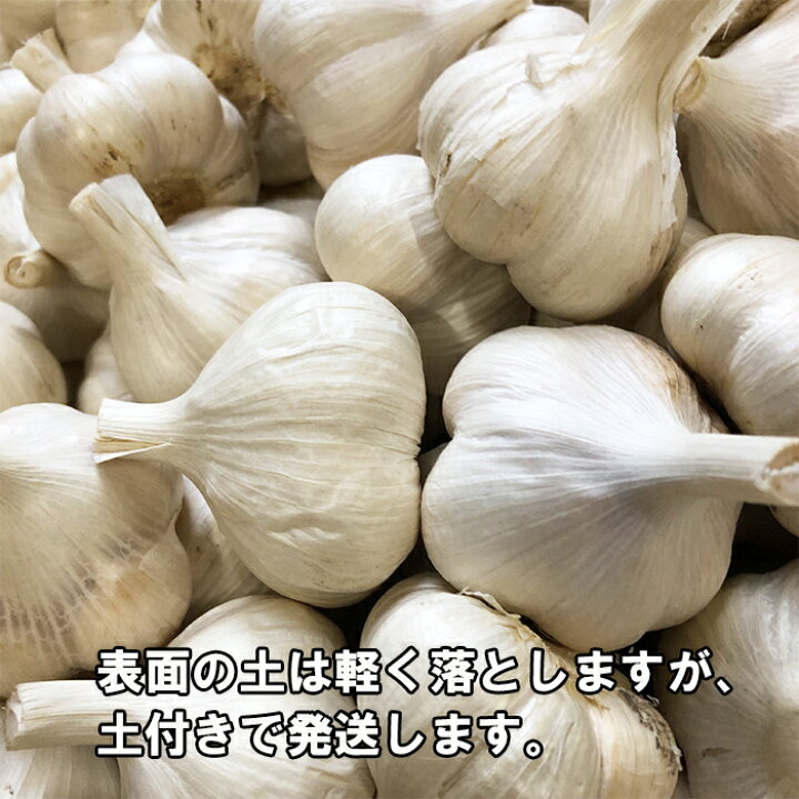 楽天市場】にんにく 種子用 青森産 L玉 1kg 青森にんにく 乾熱処理 