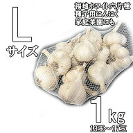 にんにく 種子用 青森産 L玉 1kg 青森にんにく 乾熱処理 【にんにく 種 種球】